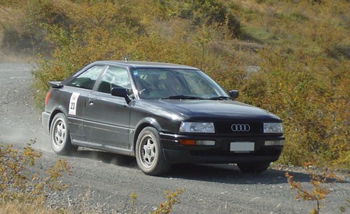 Audi on the Molesworth