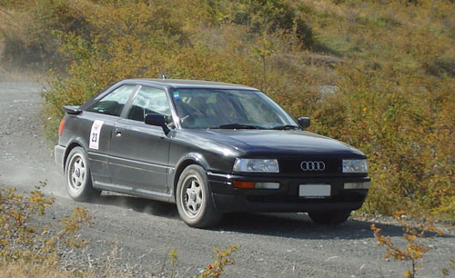 Audi on the Molesworth