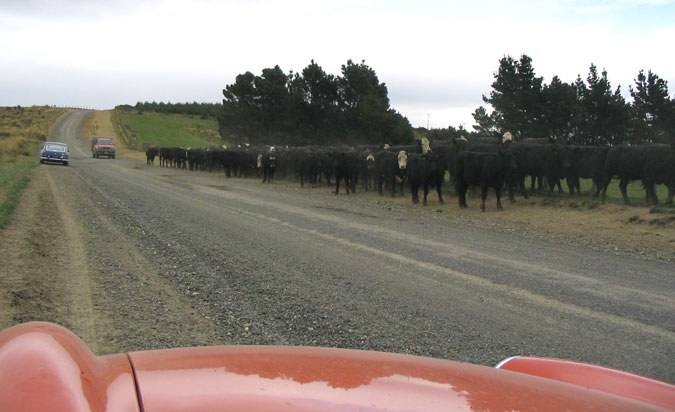So much traffic on these roads!