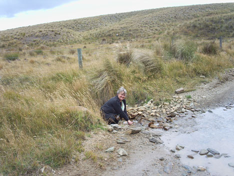 Collecting water for the MG