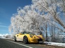 Lotus in the hoar frost