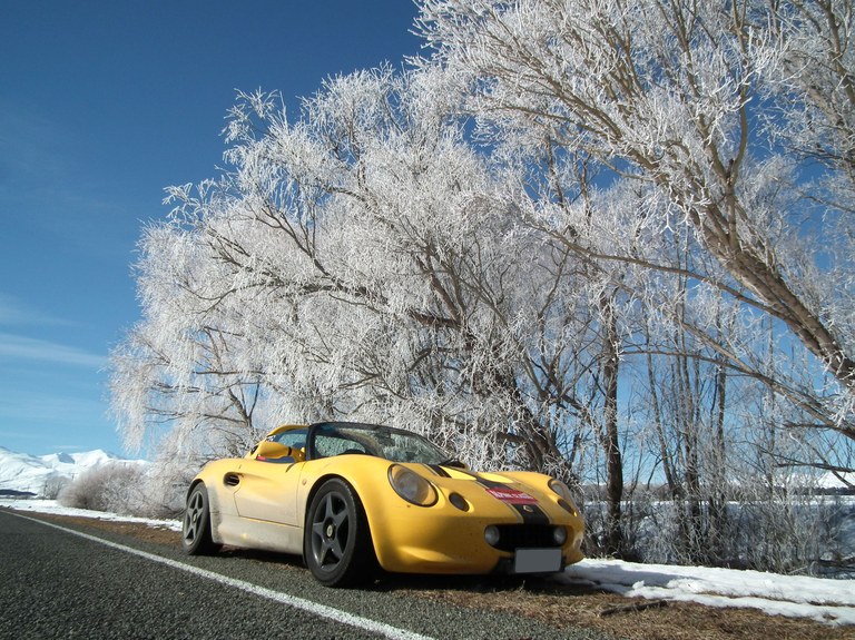 Lotus in the hoar frost