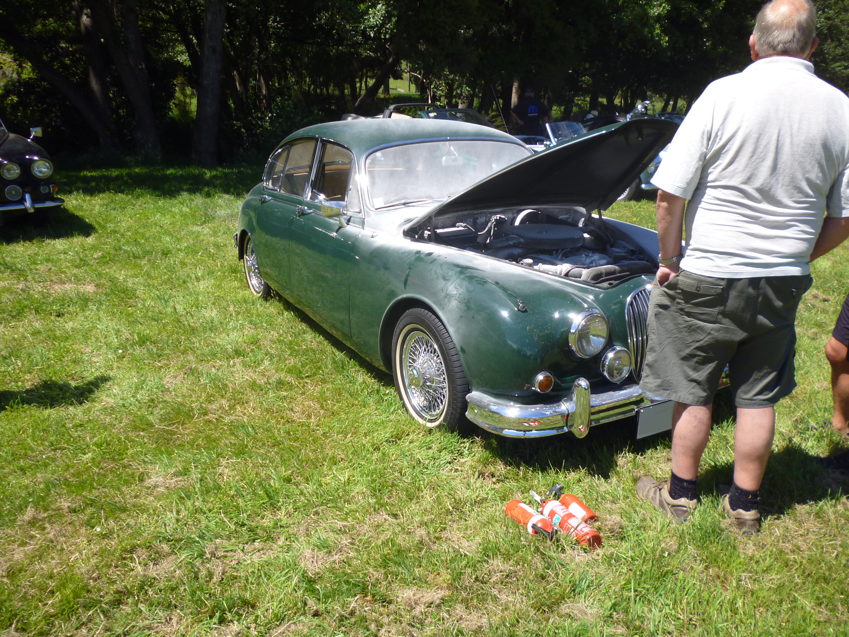 Christmas Picnic Jaguar