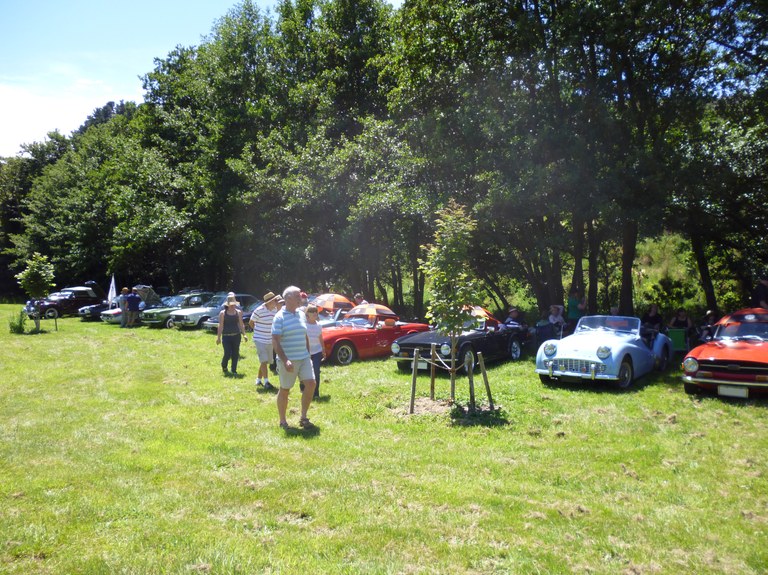 Christmas picnic TRs in shade