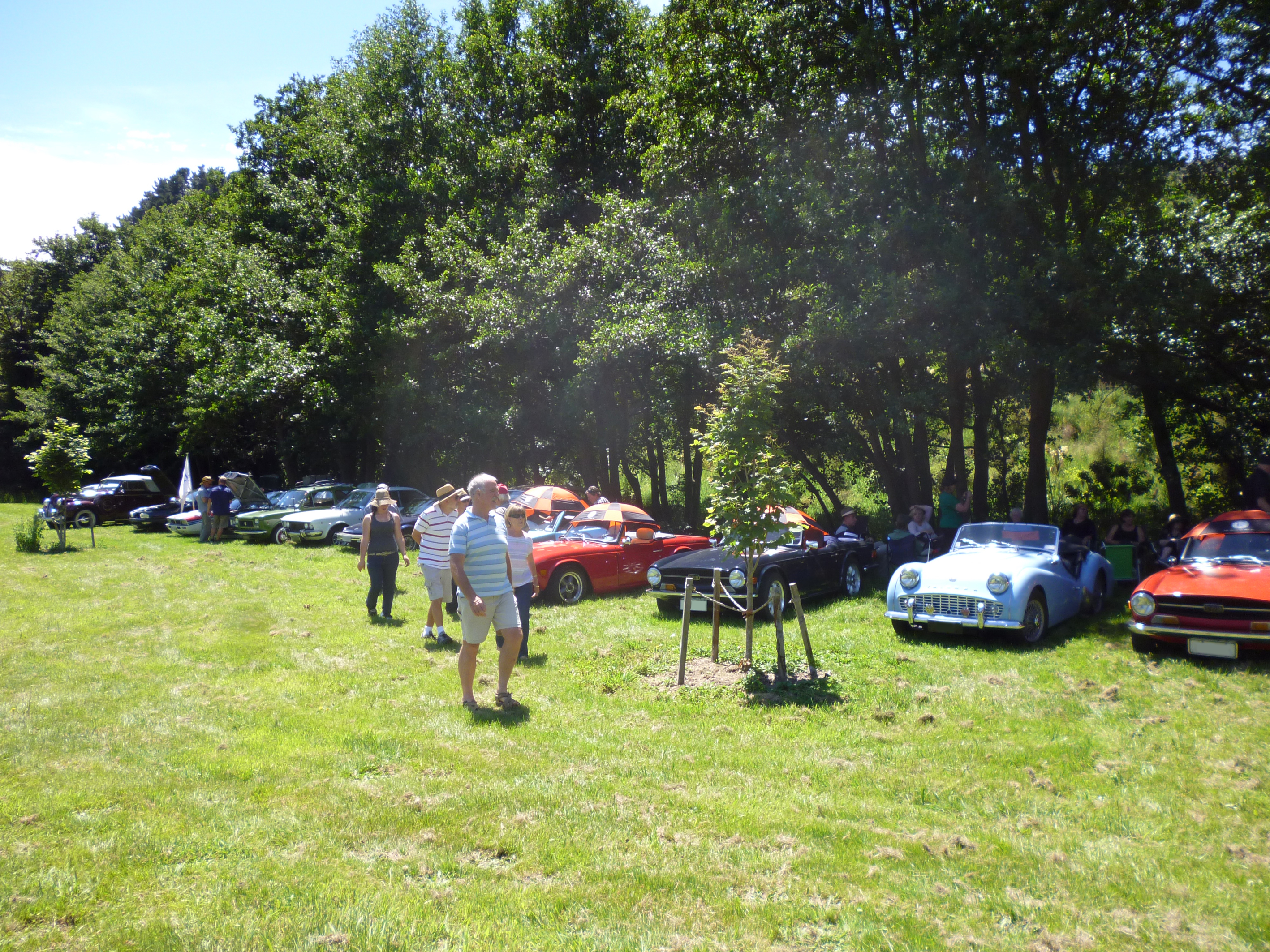 Christmas picnic TRs in shade