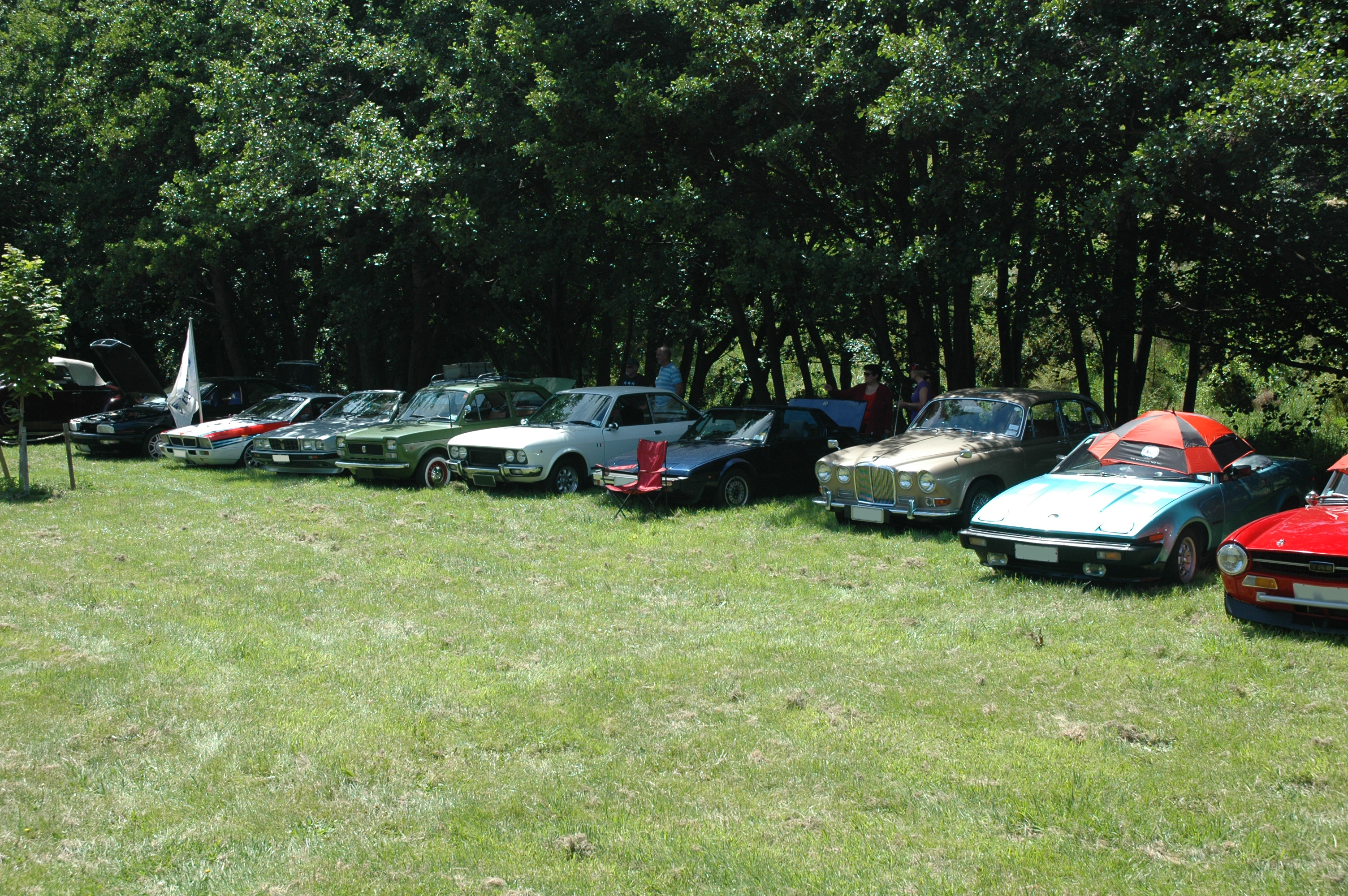 More of the lineup at the Christmas picnic