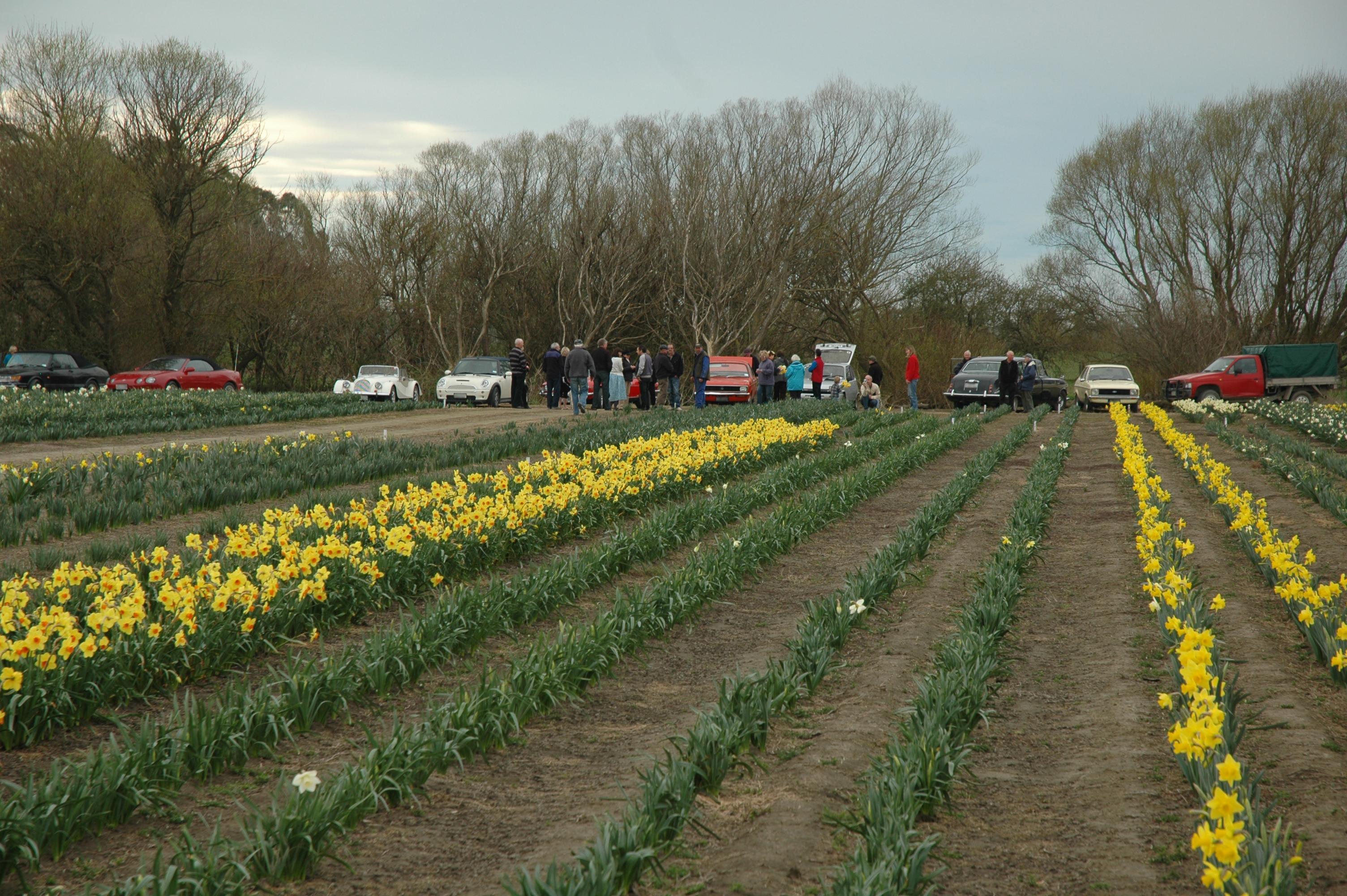 Spring Run backdrop of cars