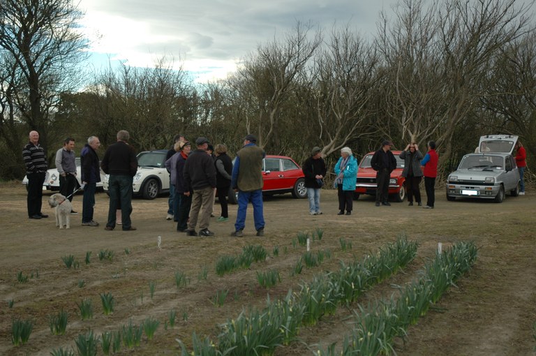Spring Run chatting at daffodil farm