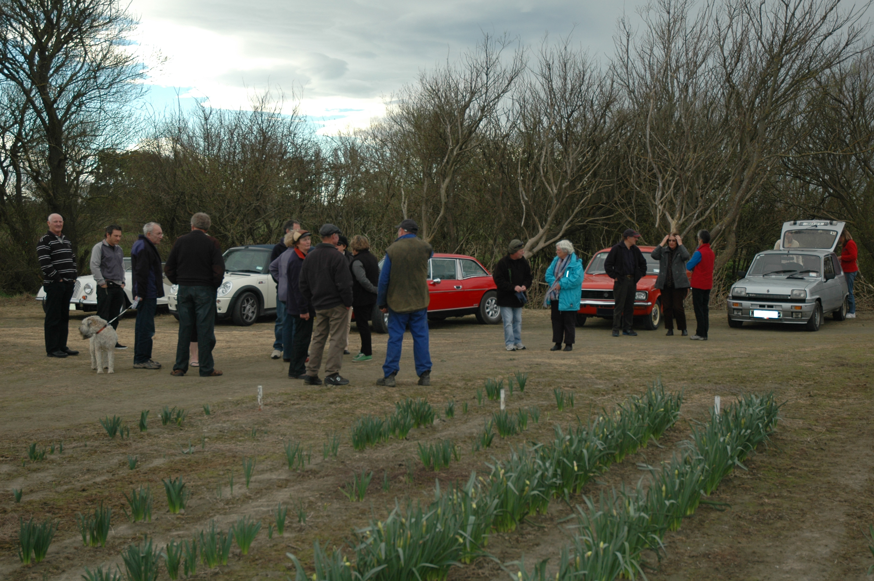 Spring Run chatting at daffodil farm