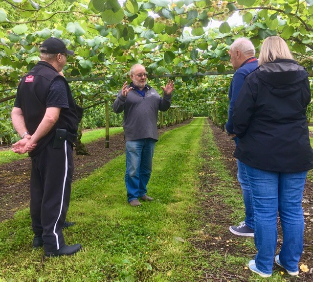 The Kiwifruit are this big in Motueka.jpg