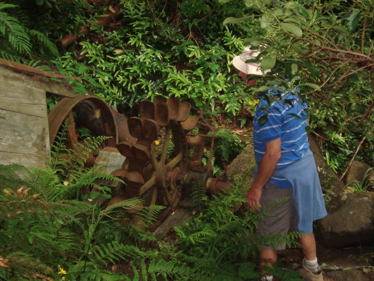 Water wheel & generator